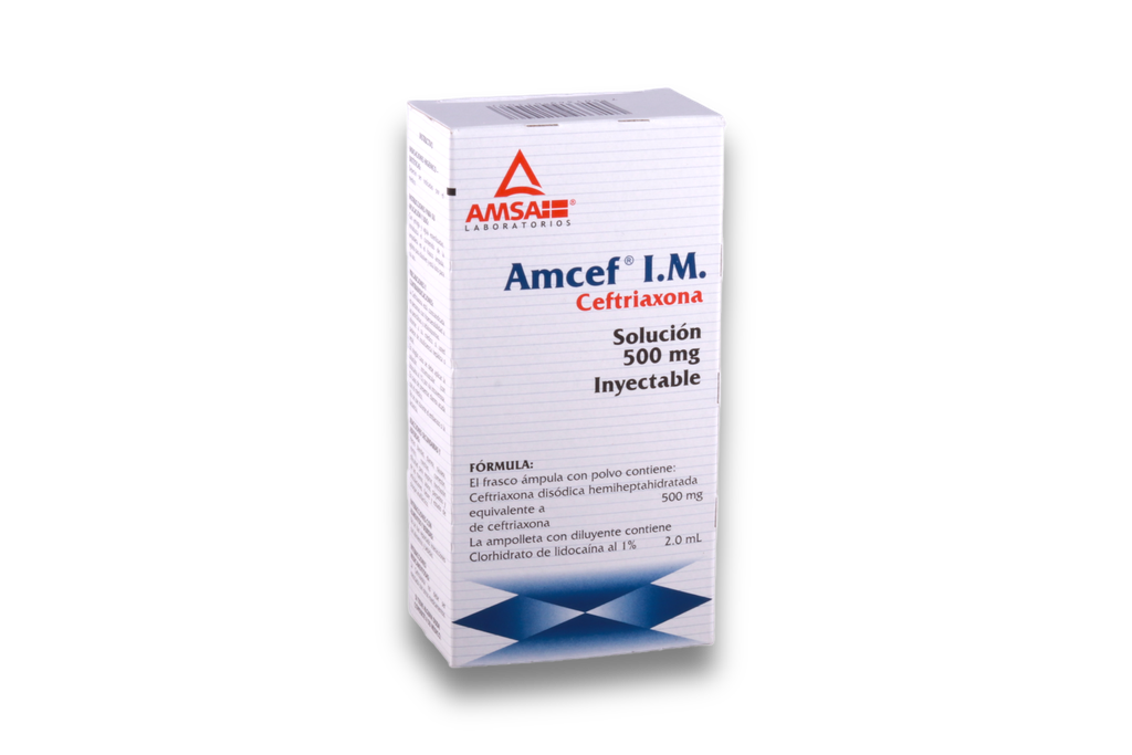 AMCEF 500MG IM
