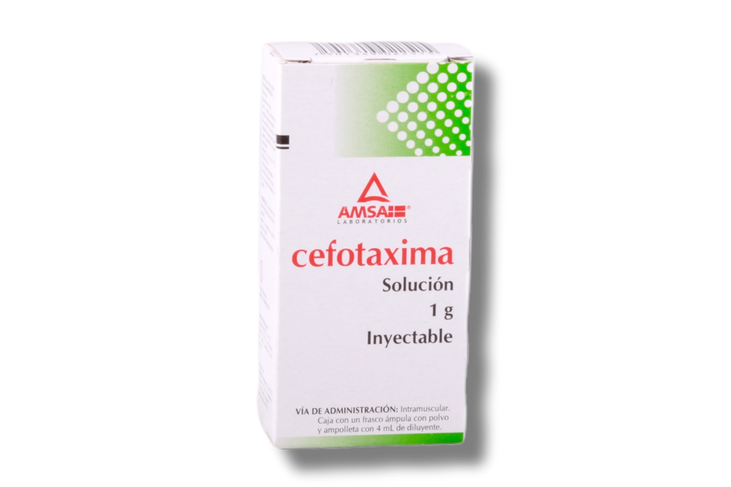 CEFOTAXIMA 1G INYECTABLE IM AMSA
