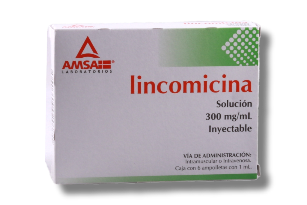 LINCOMICINA AMSA 300MG C/6 AMPULAS