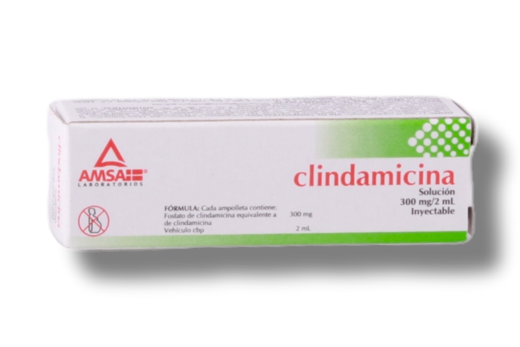 CLINDAMICINA 300MG AMSA C/1 AMPOLLETA