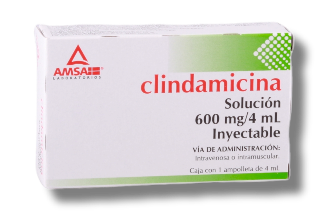 CLINDAMICINA 600MG AMSA C/1 AMPOLLETA
