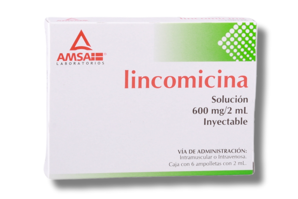 LINCOMICINA AMSA 600MG C/6 AMPOLLETAS