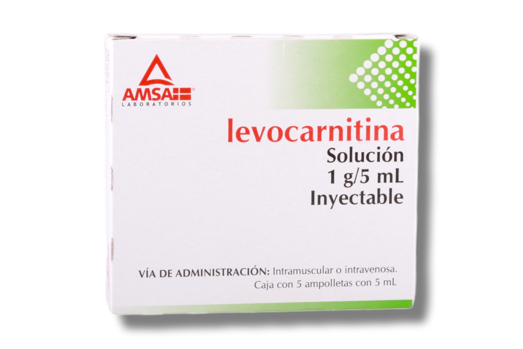 LEVOCARNITINA AMSA SOL. INY. 1GR C/5 AMP