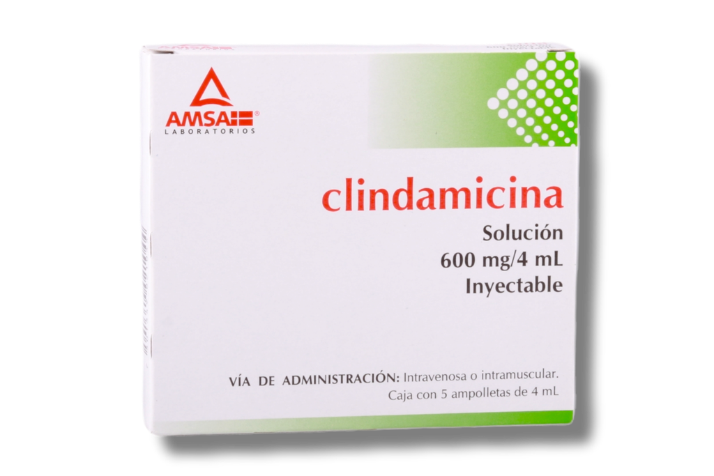 CLINDAMICINA 600MG AMSA C/5 AMPOLLETAS